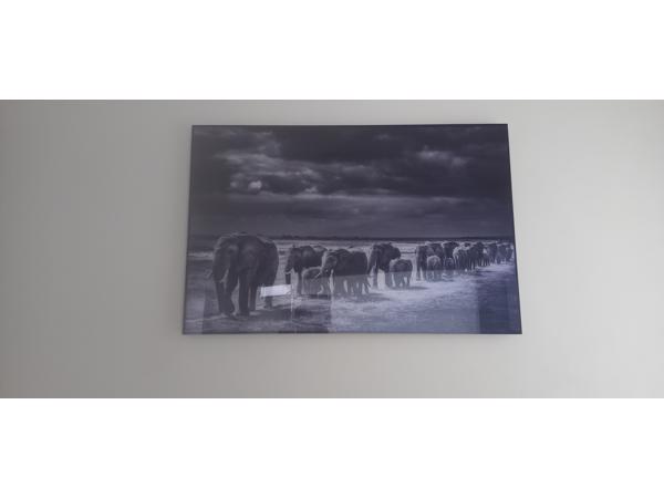 Yellowkorner Baheux Laurent