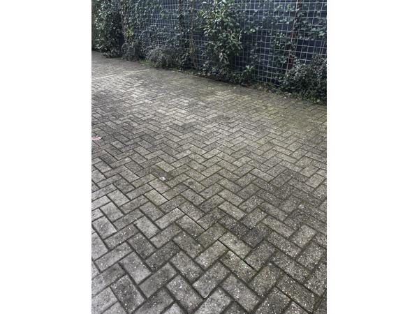 Grijze bakstenen – gratis af te halen (Oosterbeek)