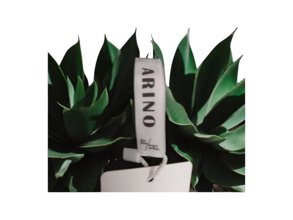 Sweat jurk motorcycle strass steentjes grijs XL/XXL