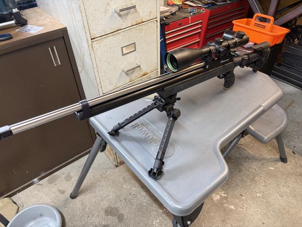 Beaumont grizzly 308