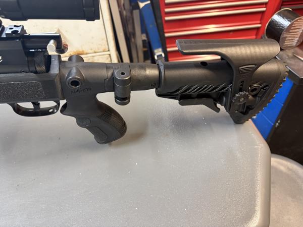 Beaumont grizzly 308