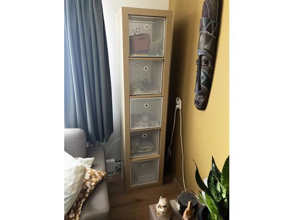 Wand kast boekenkast