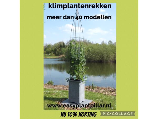 Klimplantrekken tegen overkappingen, muren en schuttingen