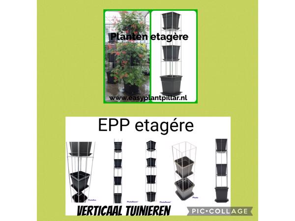 Klimplantrekken tegen overkappingen, muren en schuttingen