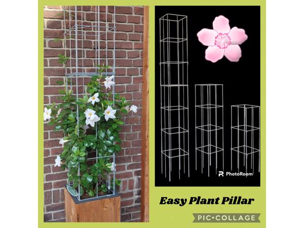 Klimplantrekken tegen overkappingen, muren en schuttingen