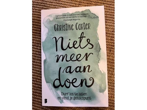 Niets meer aan doen - Christina Carter