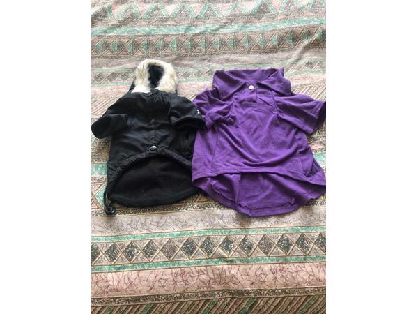 leuke nieuwe voor kleine honden kleding