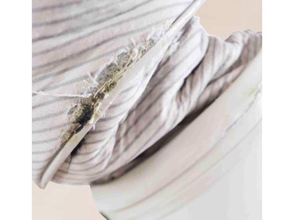 Kirby G3 Performance volledig werkend snoer heeft een breuk