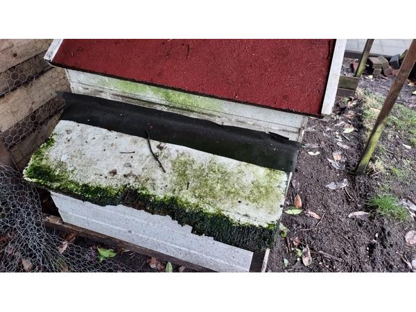 Wie wil er een kippenhok