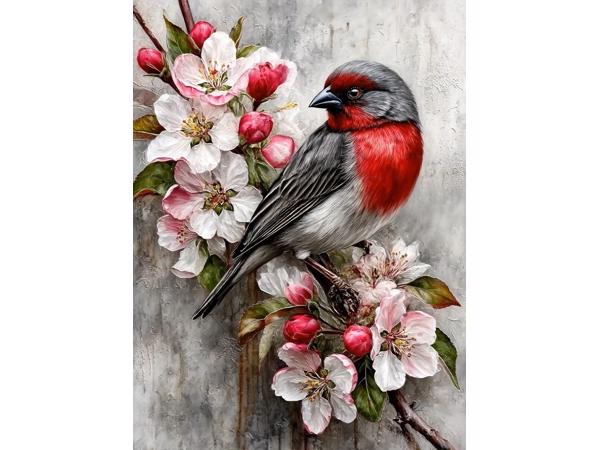 nr 24 Diamond Painting vogel 50x40cm (vierkant)