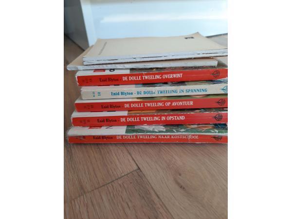 De dolle tweeling van Enid Blyton