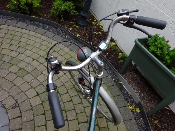 Fiets Gouden Leeuw herenfiets