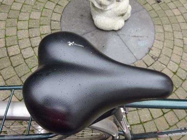 Fiets Gouden Leeuw herenfiets