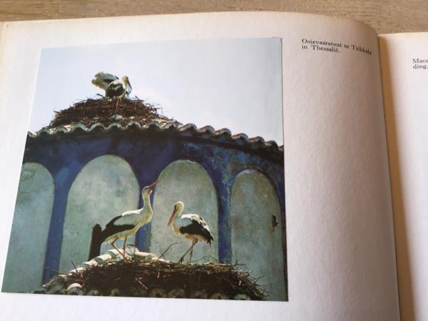 Griekeland boek;Prachtig land met hun historisch oude pronks