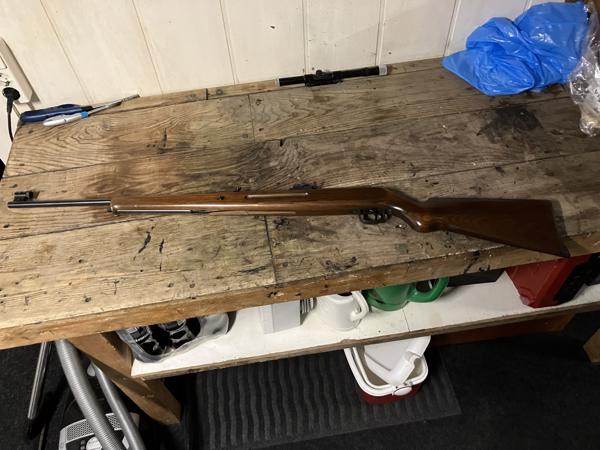 Luchtbuks incl kijker en kogeltjes