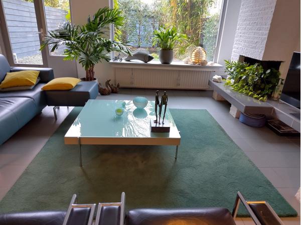 Blauw-groen wollen karpet