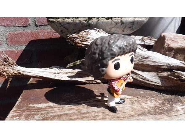 Funko pop Greg Brady V