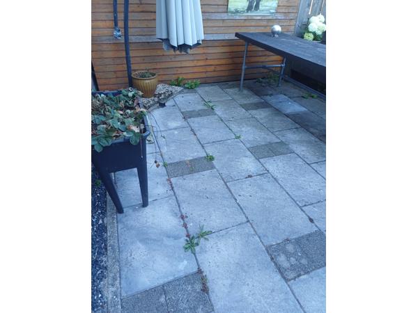 Blauwe en gewone terrastegels 60x40x5