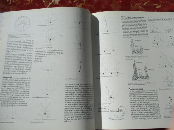 Aad van Uffelen  -  Bloemsierkunst