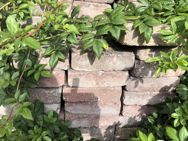 Klinkers 20x15 Gratis Afhalen