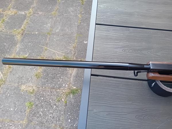 Benjamin Trail NP Xl .22