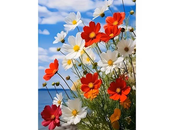 nr 62 Diamond Painting wilde bloemen 50x40cm (vierkant)