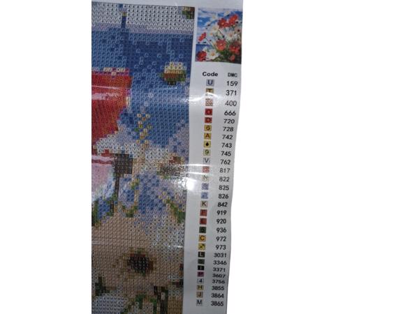 nr 62 Diamond Painting wilde bloemen 50x40cm (vierkant)