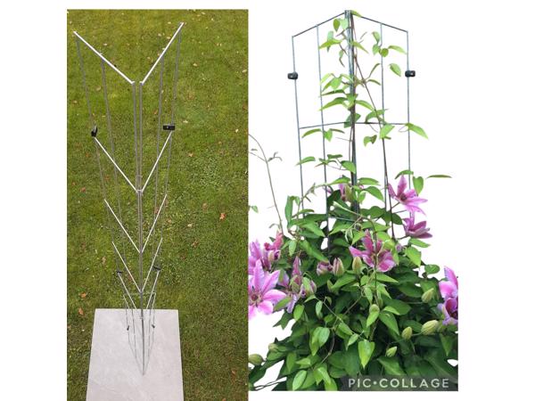 PLANTENSTEUNEN IN 40 uitvoeringen