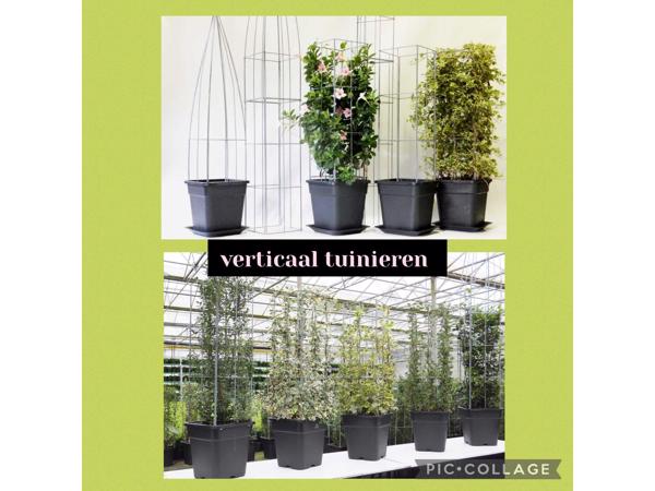 PLANTENSTEUNEN IN 40 uitvoeringen