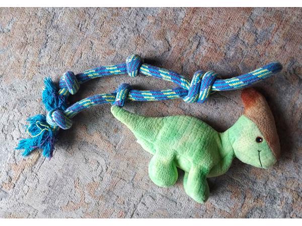 Speelgoed voor de hond