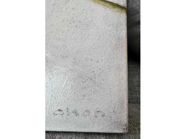 Two original oil on canvas paintings by Scott Olson