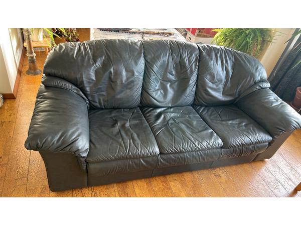 lederen 2 en 3 zits bank