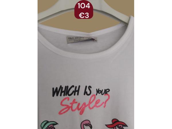 Glo-Story t-shirt flamingo's wit 104