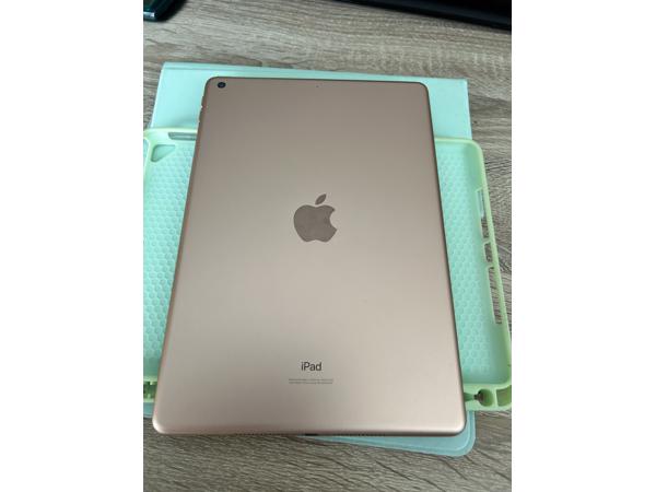 Apple iPad 7 generatie  (2019)