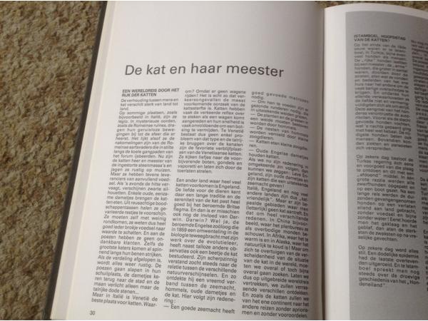 Een Boek van katten,lieve schattige huisdieren,slimme dieren