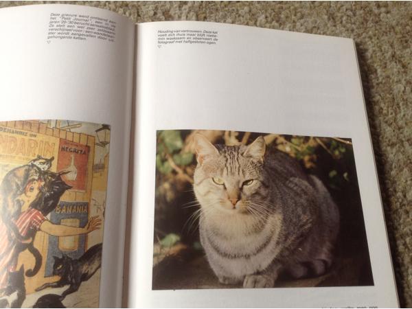 Een Boek van katten,lieve schattige huisdieren,slimme dieren