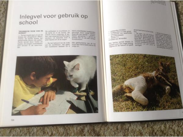 Een Boek van katten,lieve schattige huisdieren,slimme dieren