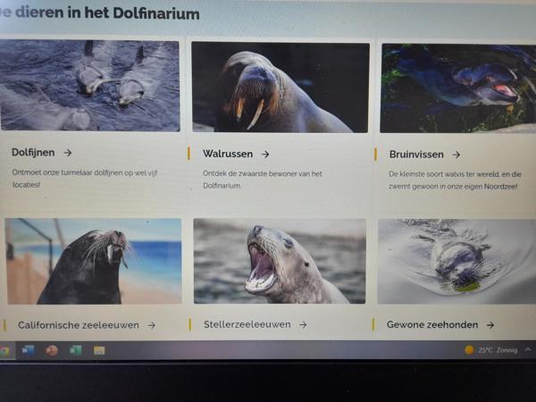 4 e-tickets dolfinarium Harderwijk (Amsterdam)