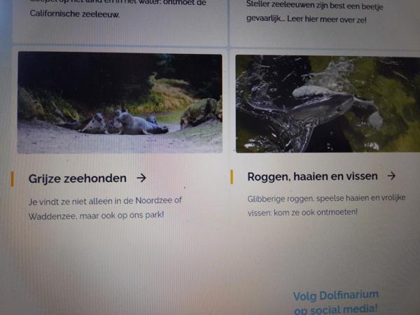 4 e-tickets dolfinarium Harderwijk (Amsterdam)