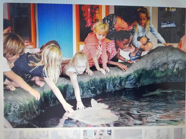 4 e-tickets dolfinarium Harderwijk (Amsterdam)