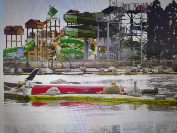 4 e-tickets dolfinarium Harderwijk (Amsterdam)