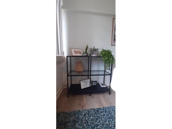 Leuk Kastje zwart met glas