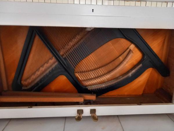 Prima Studiepiano
