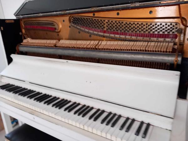 Prima Studiepiano