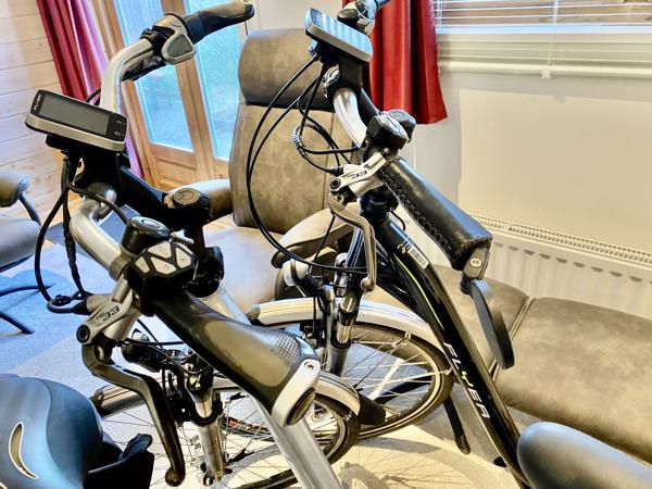 Partij Flyer Elektrische Fietsen T-Serie + Van Raam Balance