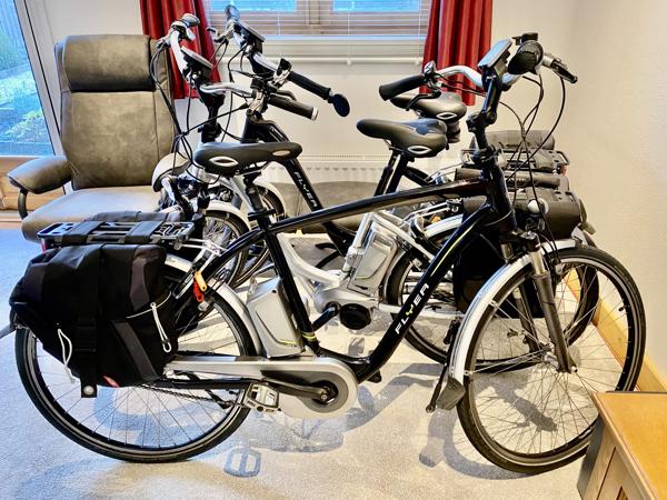 Partij Flyer Elektrische Fietsen T-Serie + Van Raam Balance