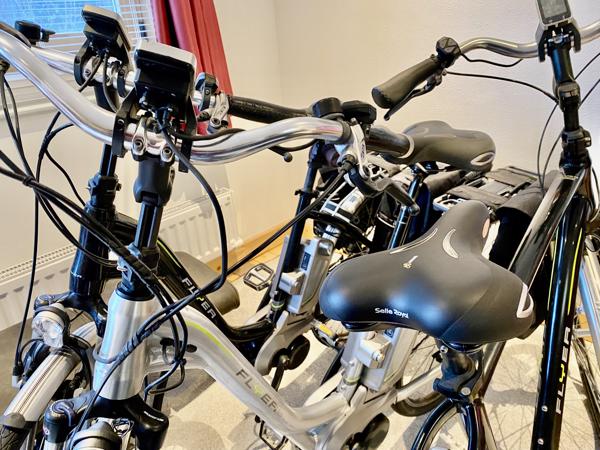 Partij Flyer Elektrische Fietsen T-Serie + Van Raam Balance