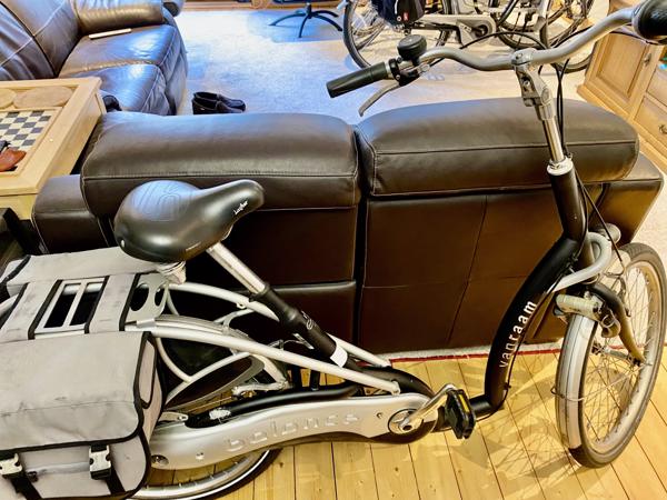 Partij Flyer Elektrische Fietsen T-Serie + Van Raam Balance