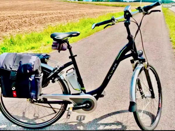 Partij Flyer Elektrische Fietsen T-Serie + Van Raam Balance