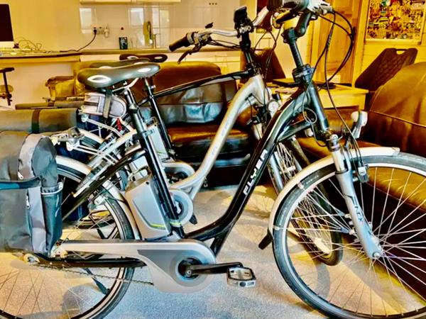 Partij Flyer Elektrische Fietsen T-Serie + Van Raam Balance